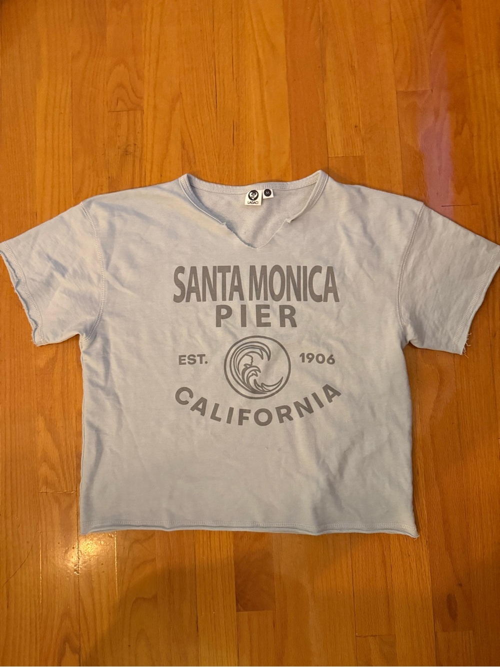 Lagaci Pale Blue Santa Monica Pier Graphic Crop Tee